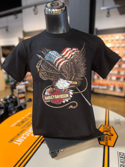 Vintage Eagle